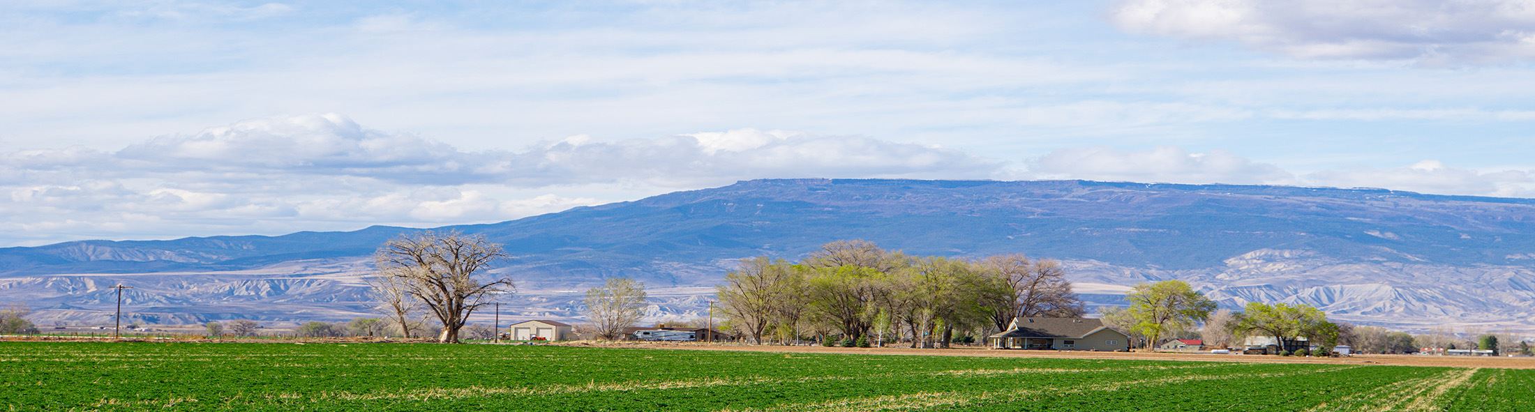California Mesa view of Grand Mesa