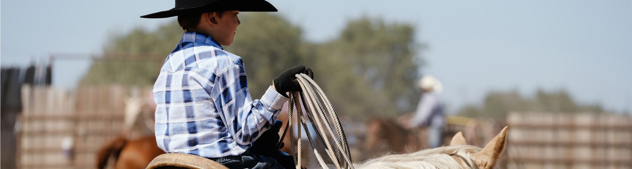 Young cowboy stock image