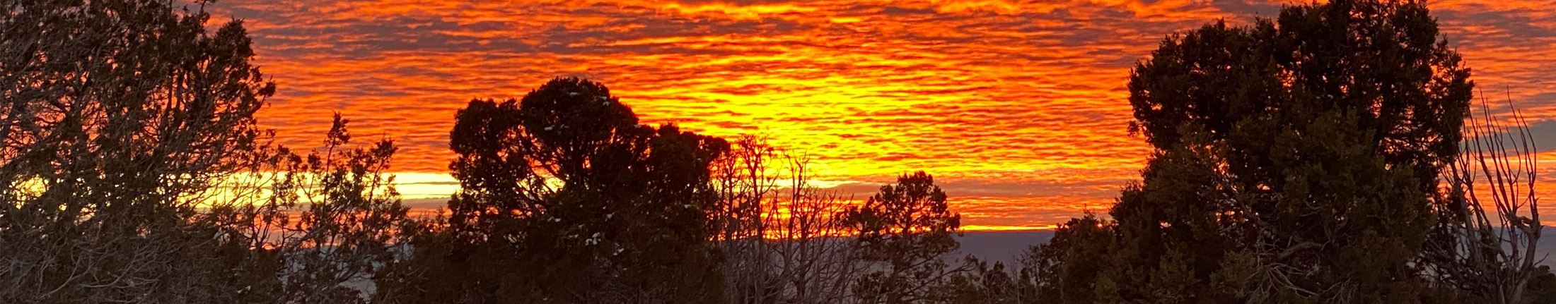 Sunset by Jessica Oldfield