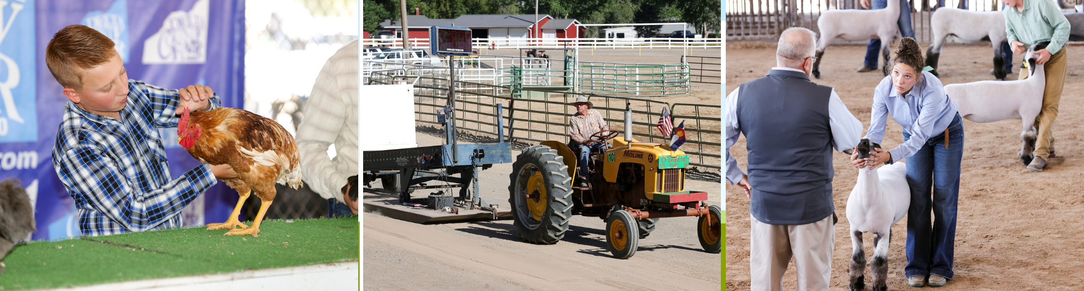 Delta County Fair 2024