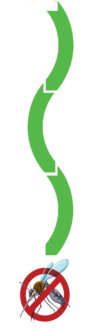 Arrow pointing to mosquitos not allowed